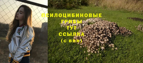 дурь Володарск